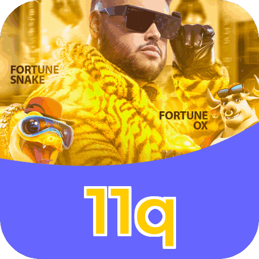 11q